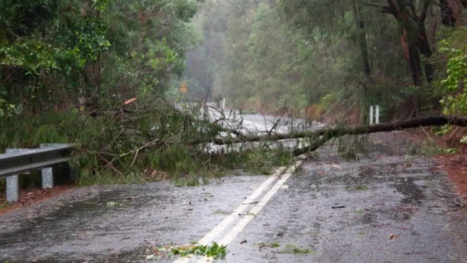 Météo : vigilance orange pour vent violent en Occitanie, tempête en vue