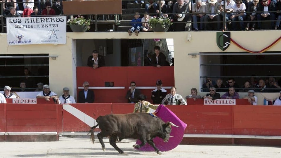 corrida