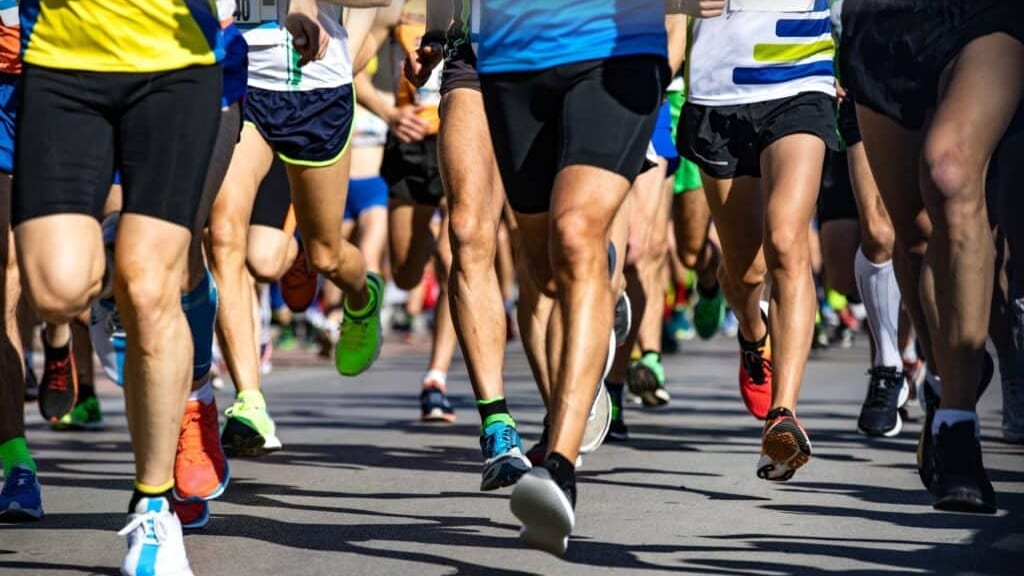 Marathon de Toulouse 2024