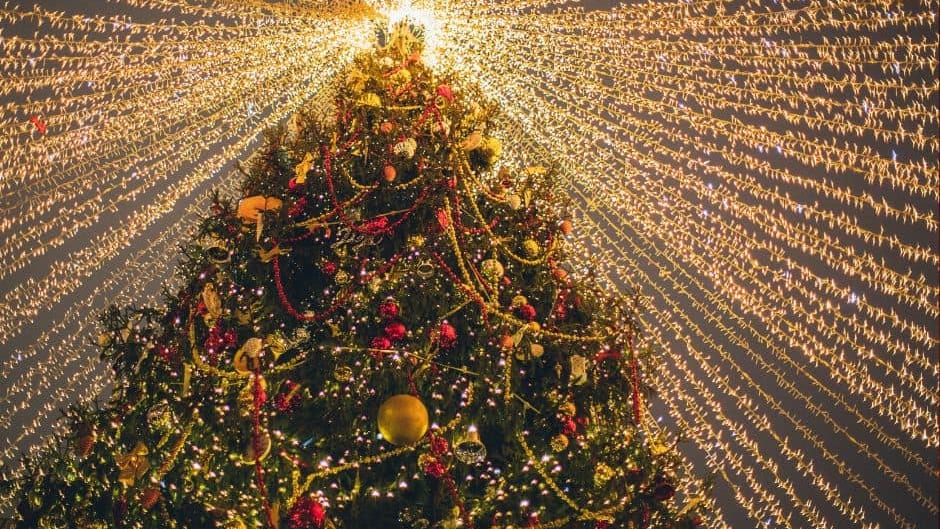 Hérault : les premières animations de Noël dévoilées à Palavas-les-Flots !