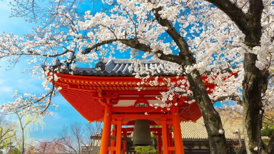 Montpellier : le salon Nishiki Japan est de retour pour sa 2e édition