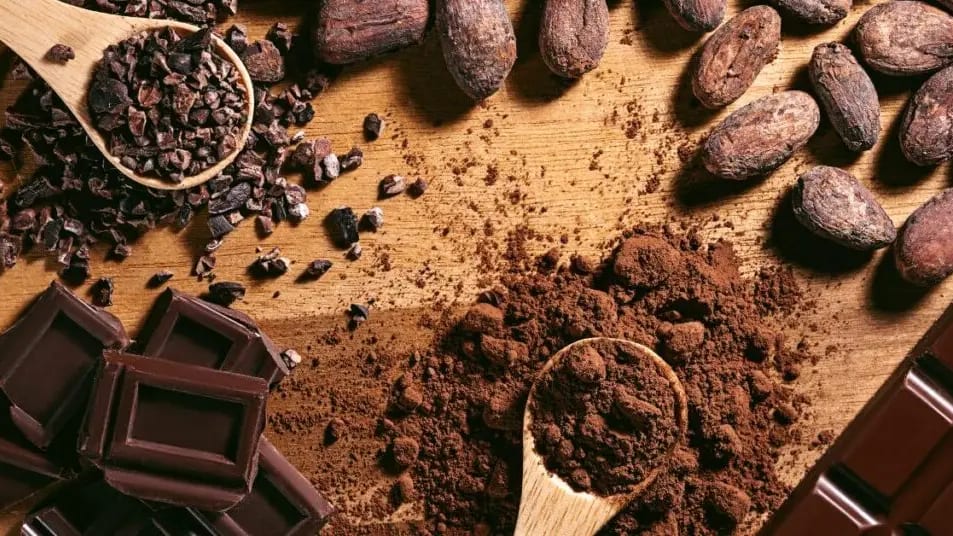 Hérault : le chocolat sous toutes ses formes à Agde