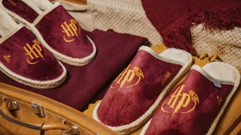 Perpignan : cette entreprise signe un partenariat avec Warner Bros pour l’univers Harry Potter