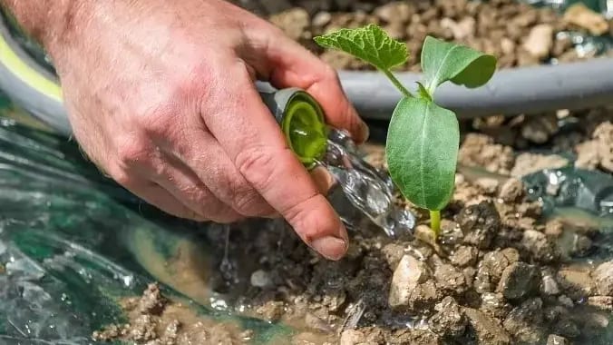 Occitanie : sècheresse, une étude pour sécuriser l’accès à l’eau sur le littoral