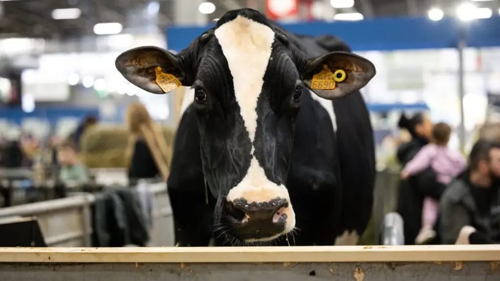 Gard : le Conseil départemental participera au Salon international de l’agriculture en 2025