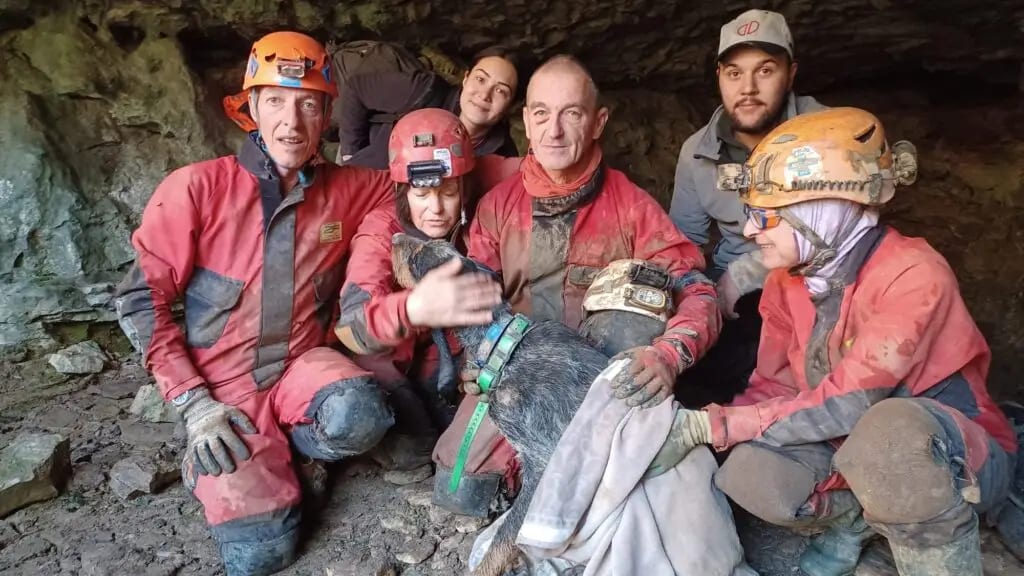 Hérault : deux chiens bloqués sept jours trente mètres sous terre finalement secourus