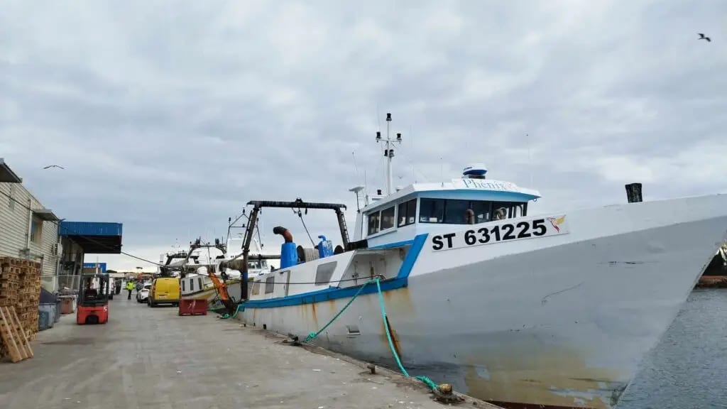 Grau-du-Roi : plan West Med, le cauchemar des pêcheurs