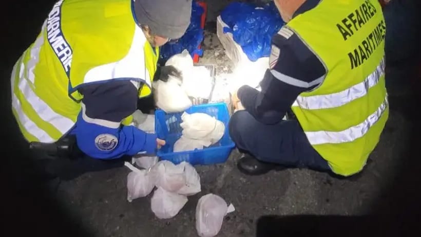 Hérault : crevettes, bulots… impropres à la consommation saisis par la Gendarmerie