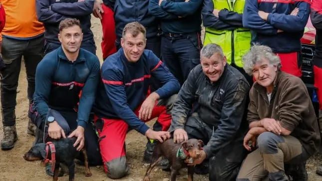 Pyrénées-Orientales : les pompiers sauvent deux chiens coincés à 5 mètres de profondeur