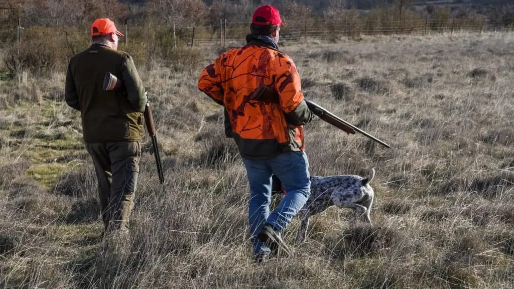 Gard : un chasseur blessé par balle dans le dos, l’homme évacué par hélicoptère