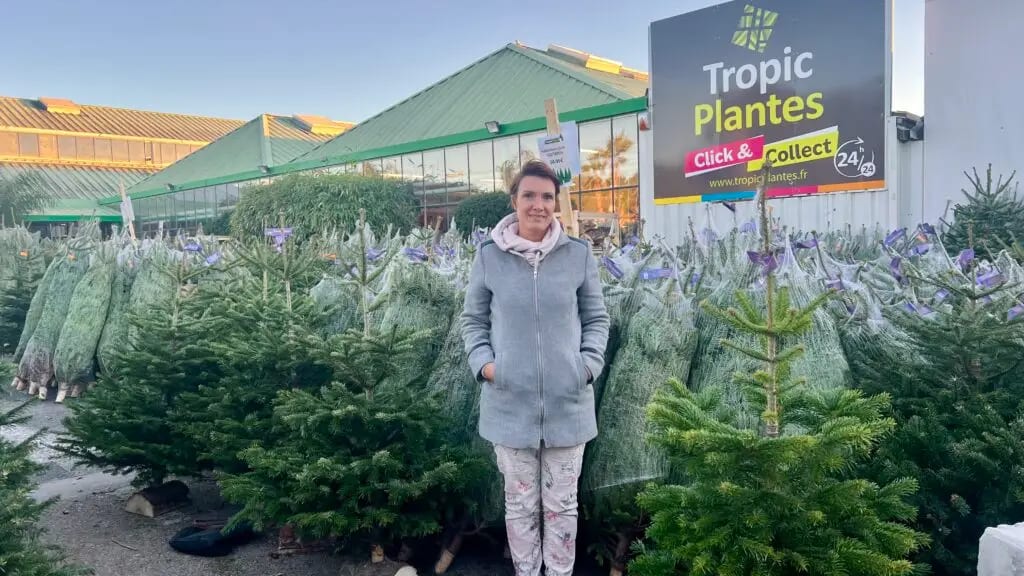 Gard : comment bien choisir son sapin de Noël ?