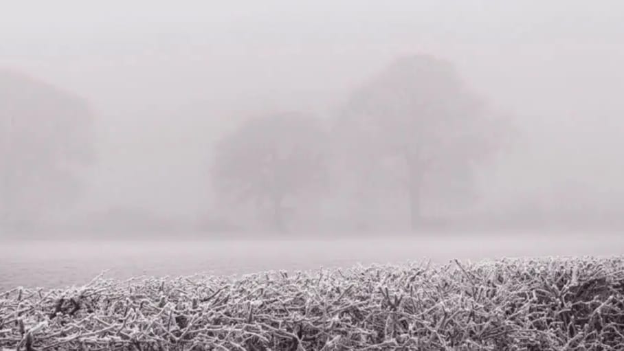 gelées météo
