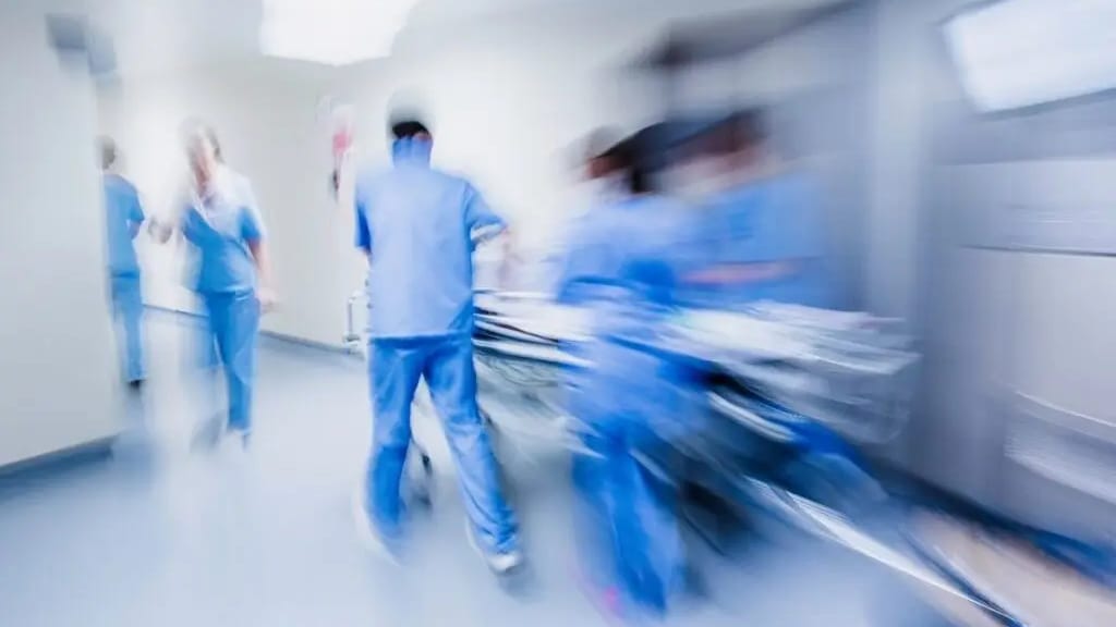 Grippe Aviaire : un patient atteint du H5N1 avec une mutation aux voies respiratoires humaines