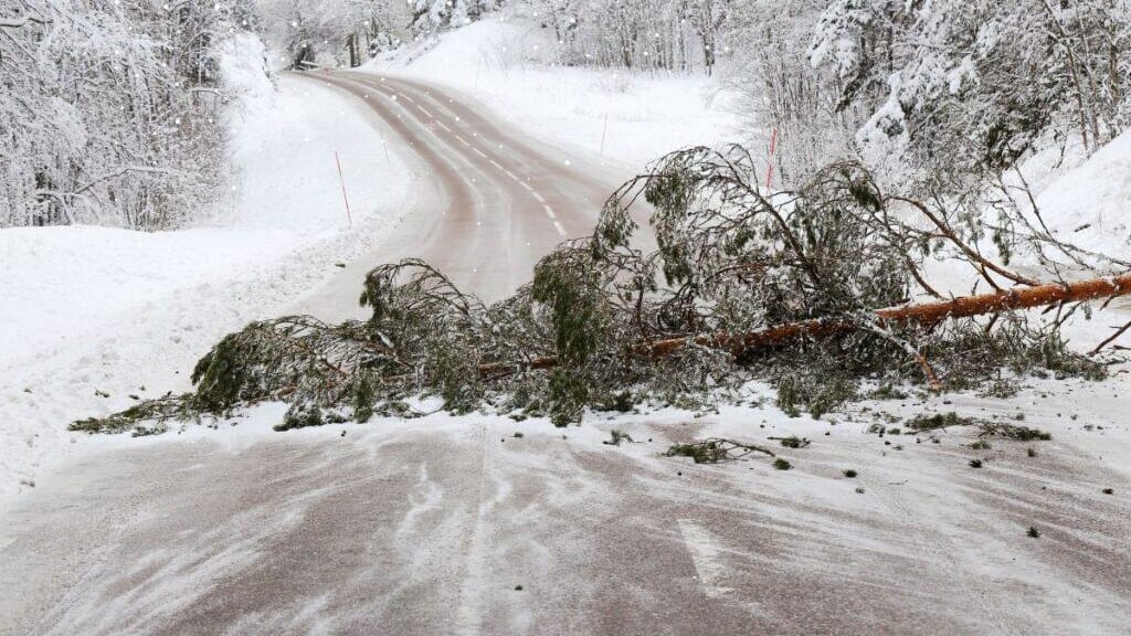 Météo : 5 départements de la région Occitanie en vigilance orange pour neige-verglas et vent violent
