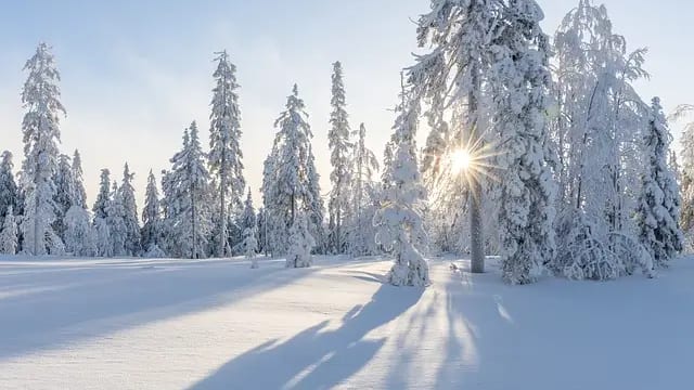 neige météo