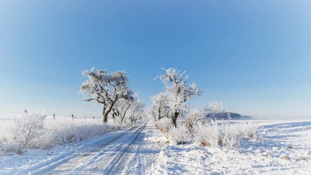 météo gelées