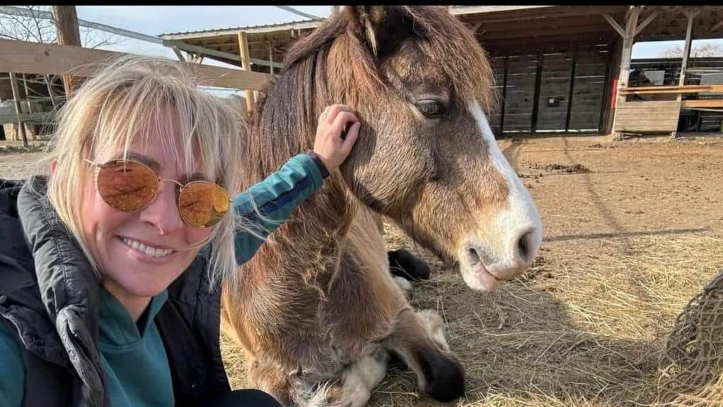 Hérault : « on a dû l’euthanasier ! », un poney empoisonné dans le massif de la Gardiole