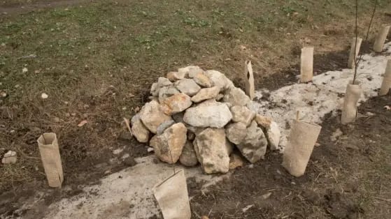 Hérault : la Fondation Vinci soutien la création d’une haie biodiversifiée le long du canal de Lunel