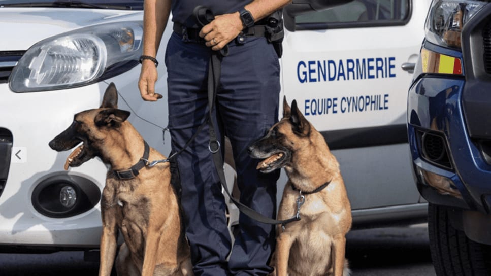 Agression au couteau à Vergèze : la victime dans un état très grave, une enquête pour tentative d’homicide volontaire ouverte
