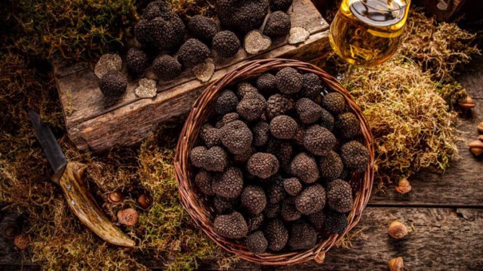 truffes