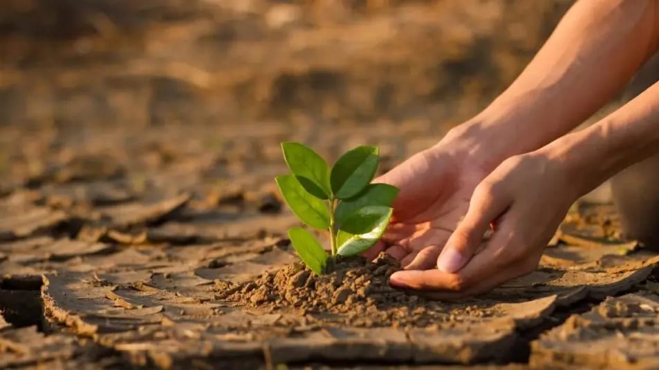 Gard : l’État accorde des dégrèvements aux agriculteurs victimes de sinistres climatiques