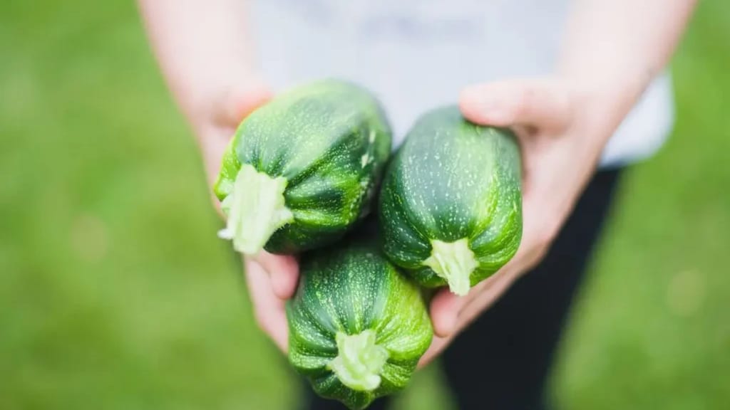 Hérault : surpris en flagrant délit, le voleur termine avec une courgette dans les fesses