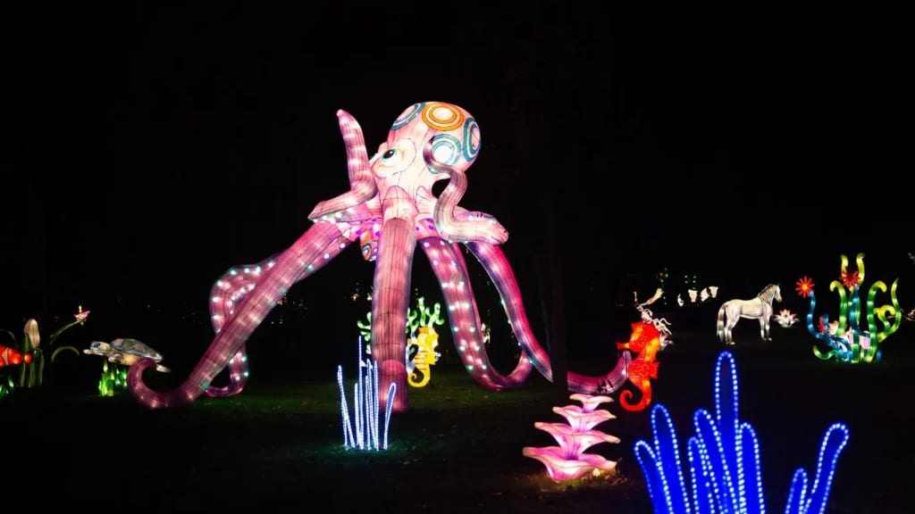 Montpellier : la féerie continue lors de l’Odyssée lumineuse au château de Flaugergues