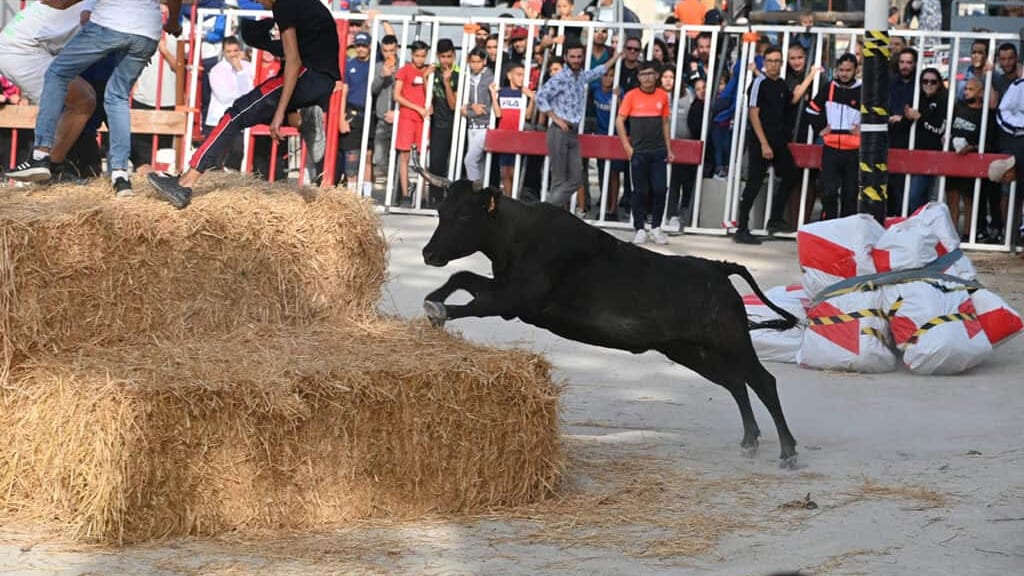 Lunel : les courses au plan reviennent les 2 et 9 mars prochains