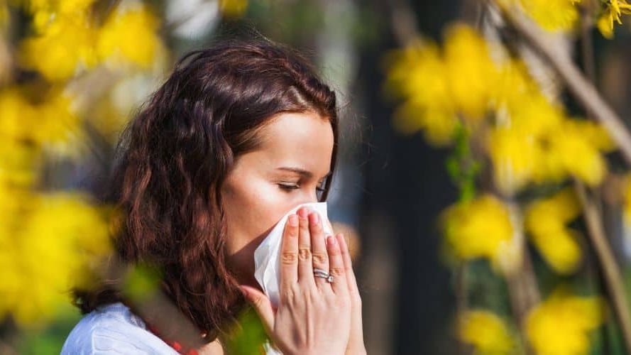 Gard : le département en alerte rouge pour le pollen
