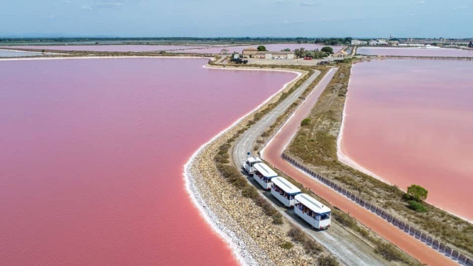 Camargue : la « Baleine en course » dans le décor des Salins