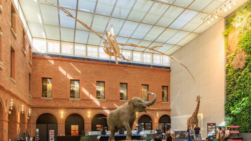 Occitanie : la Nuit des Musées est de retour !