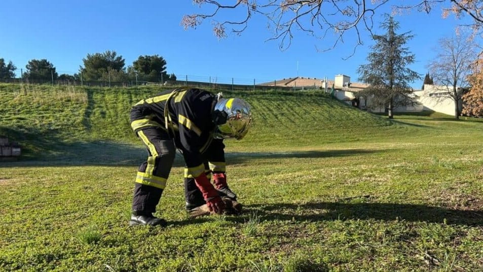 Montpellier : les sapeurs-pompiers viennent en aide à un rapace en détresse