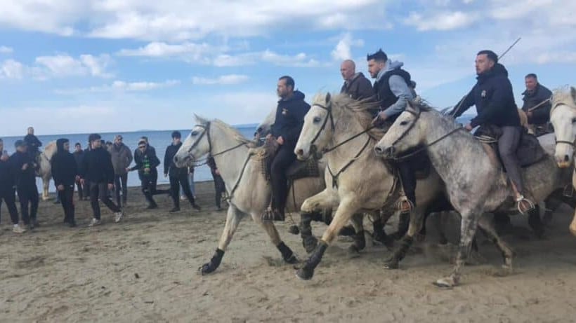 Gard : découvrez les images de l’Abrivado des plages au Grau-du-Roi