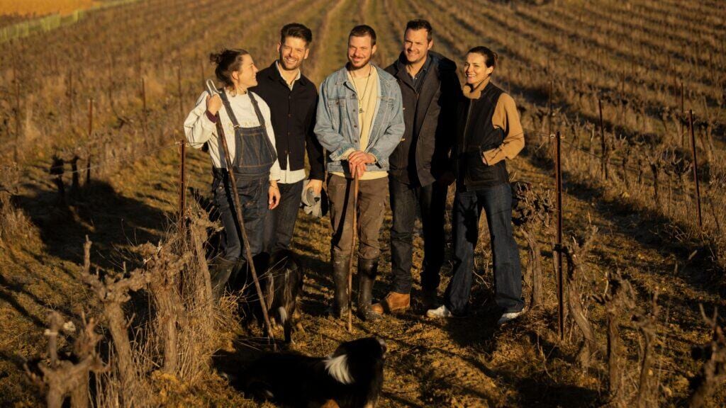 Occitanie : atelier Tuffery se lance dans la production de laine locale avec un troupeau de brebis Mérinos d’Arles