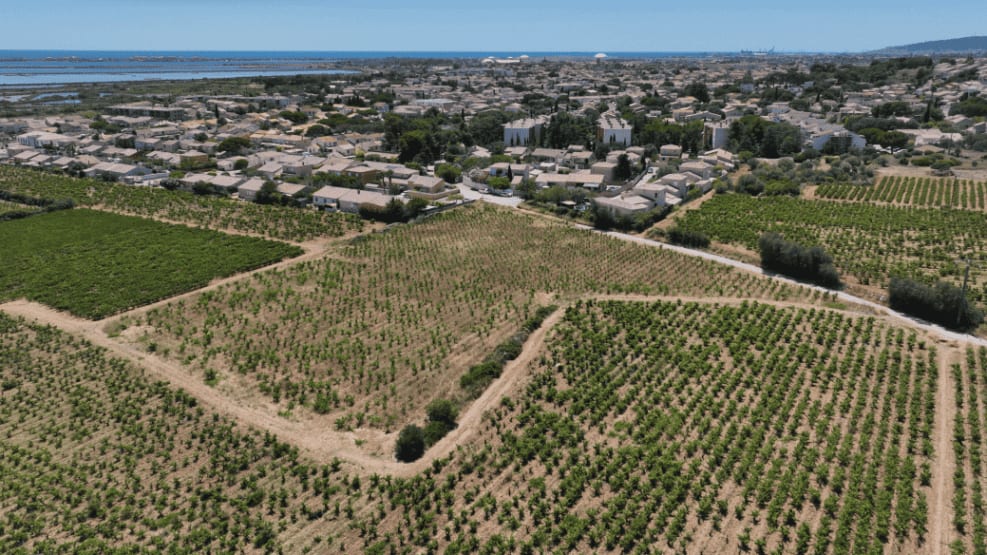Frontignan : aménagement du bassin de rétention Claude Bernard, les travaux démarrent