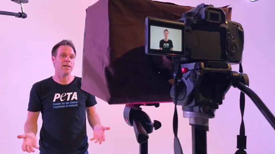 Montpellier décorée par PETA : Rémi Gaillard tacle une récompense absurde
