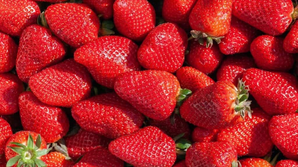 Gard : Fête de la fraise de Montfaucon, deux jours de célébrations