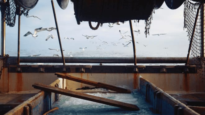 Aigues-Mortes : exposition, ‘Restons Vagues’, la mer comme source d’inspiration