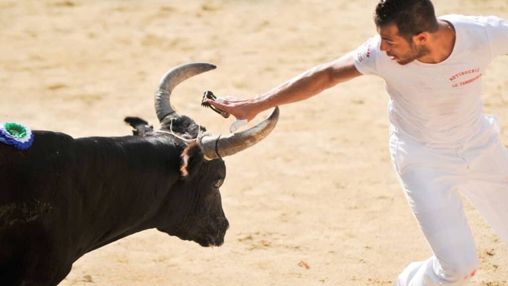 Gard : deux courses camarguaises à ne pas manquer ce week-end
