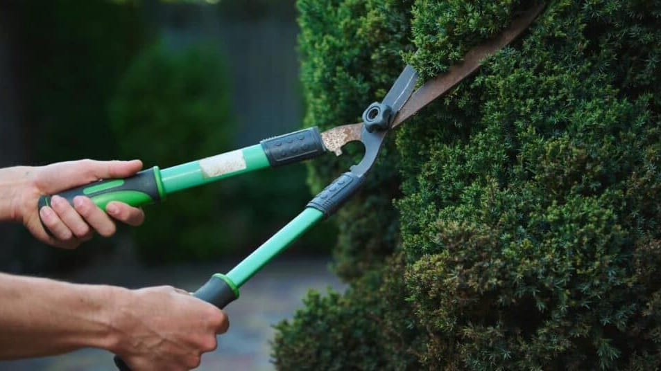 Gard : une matinée pour découvrir le métier de jardinier-paysagiste