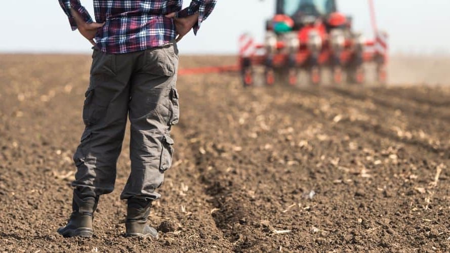 Occitanie : un agriculteur retrouvé mort chez lui