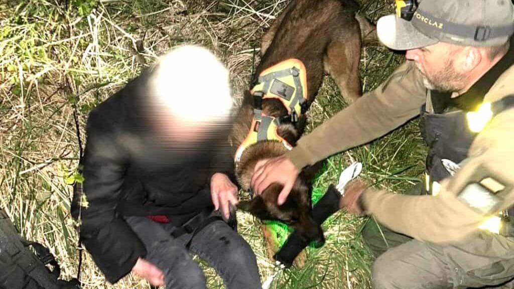 Haute-Garonne : comment le chien Uzi a sauvé Louisette, 85 ans
