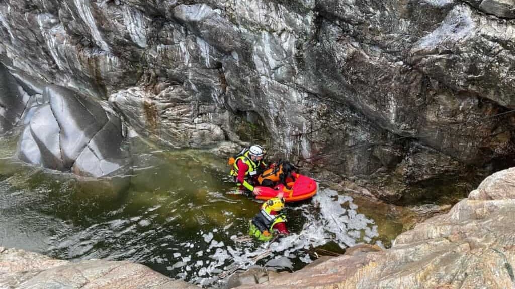 Gard : 2 chiens sauvés des eaux dans les gorges du Gardon