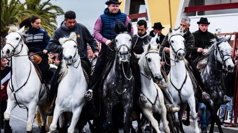 Palavas-les-Flots : découvrez le programme de la Féria de la Mer