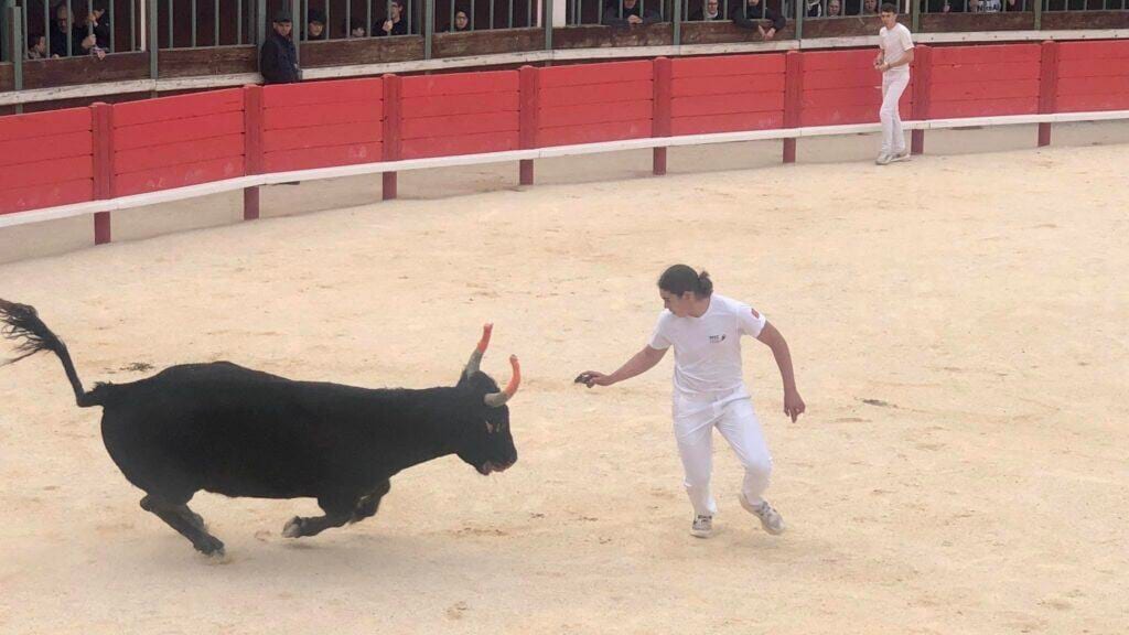 Camargue : le 7e Trophée des Prémices à Vauvert approche