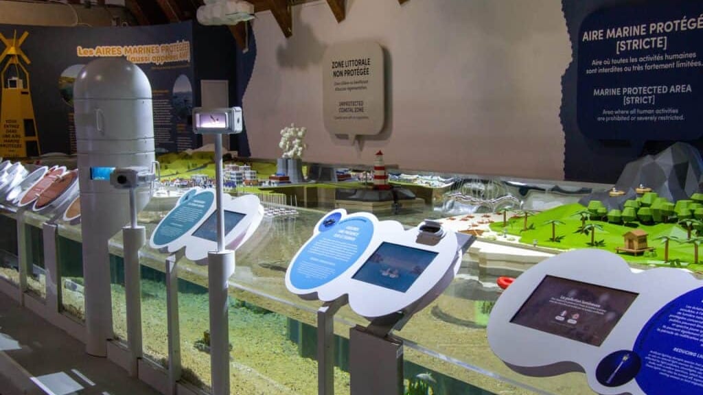 Grau-du-Roi : nouveau, le Seaquarium a inauguré son bassin pédagogique !