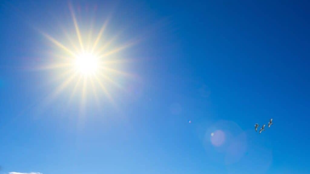 Météo : des journées printanières au programme, jusqu’à 27 degrés attendus en Occitanie