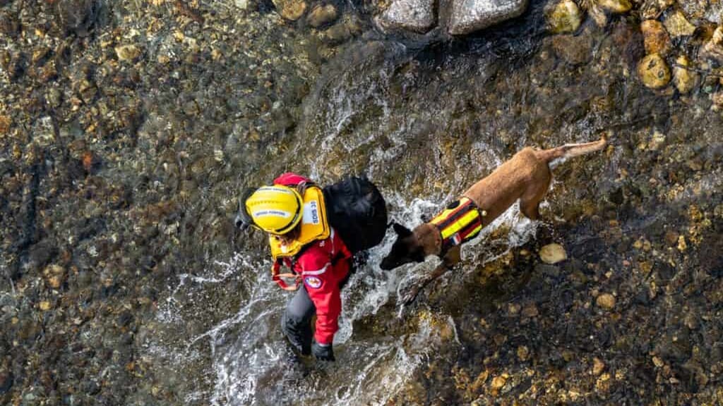 Gard : opération de secours et de recherche après une noyade dans le Gardon