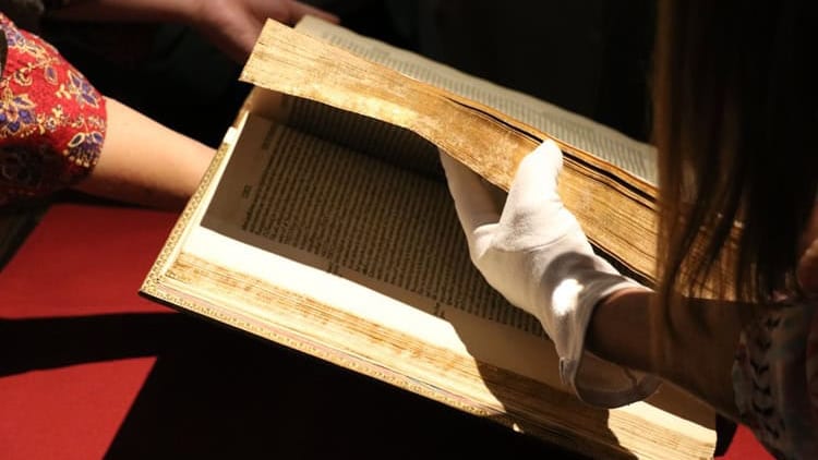 Lunel : le musée Médard lance ses « rendez-vous du patrimoine »