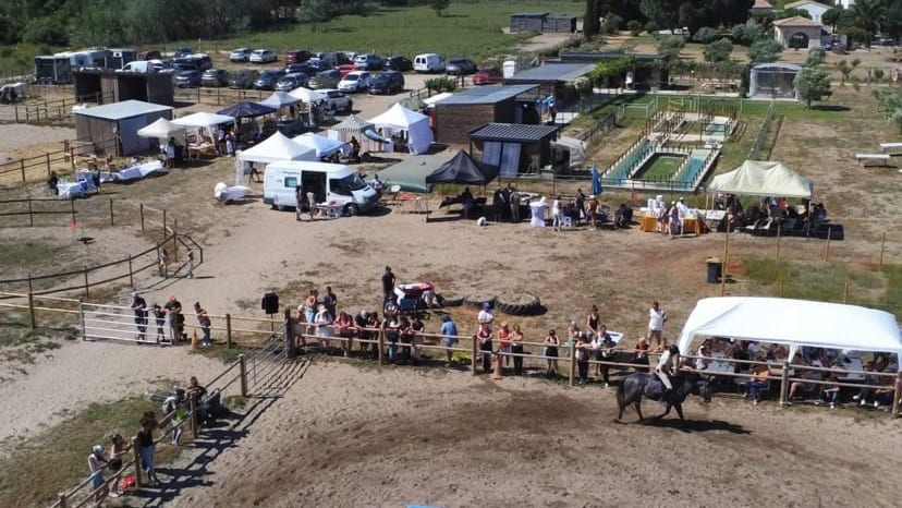 Gard : le salon du bien-être équin à Aigues-Mortes, pour prendre soin des chevaux
